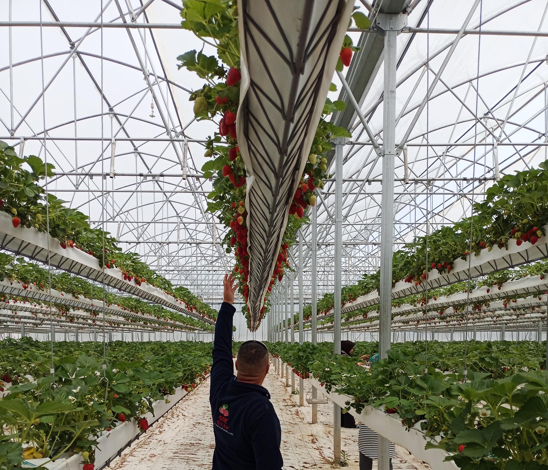 🏡 Geleceğin Tarımı